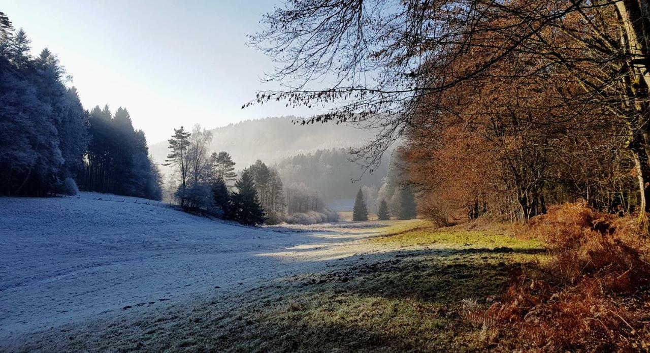 Apartament UrlaubsRaum Heiligkreuzsteinach Zewnętrze zdjęcie