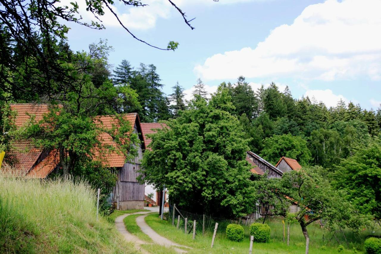 Apartament UrlaubsRaum Heiligkreuzsteinach Zewnętrze zdjęcie